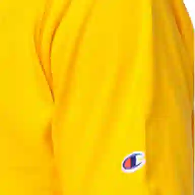Champion logoT