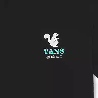 Vans T