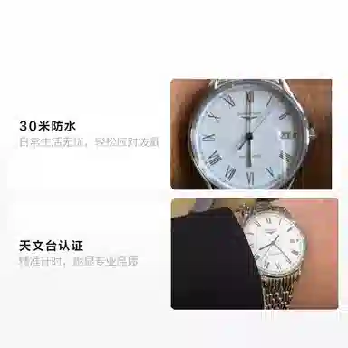 Longines L4.860.4.11.6