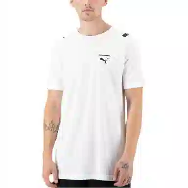 Puma T