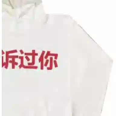 YEEZY FW24 TOLD YOU HOODIE