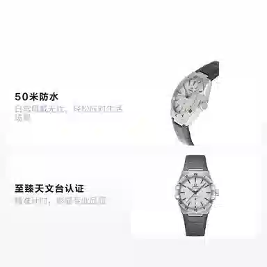 OMEGA 39mm 131.13.39.20.06.001