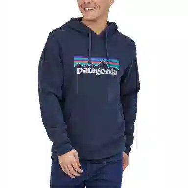 patagonia logo