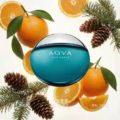 BVLGARI Aqva Pour Homme EDT