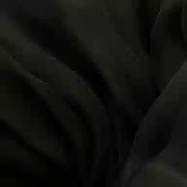 Alexander McQueen SS22