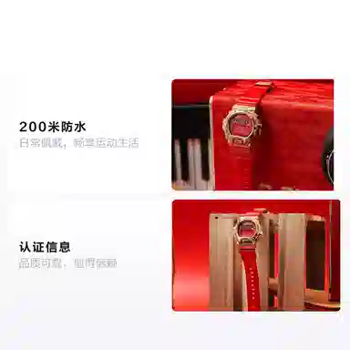 CASIO GM-6900CX-4PFN