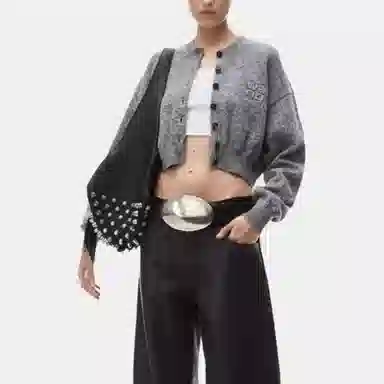 alexander wang FW24 logo