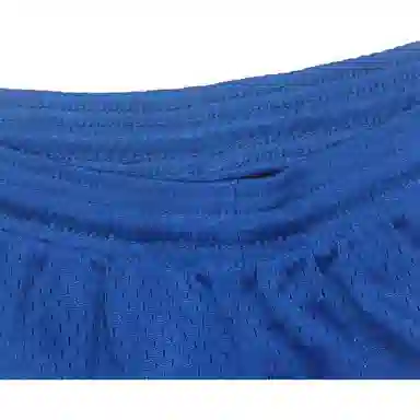 Champion Mesh Low-Rise Shorts Blue