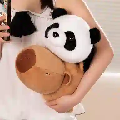 24cm34cm