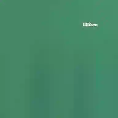Wilson