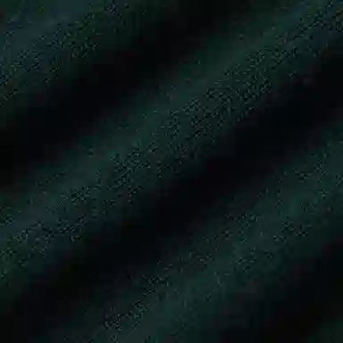 Polo Ralph Lauren FW23 LogoV