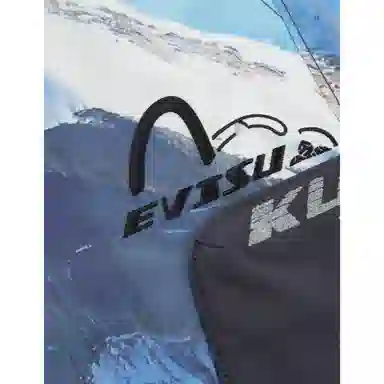 EVISU FW22 logo