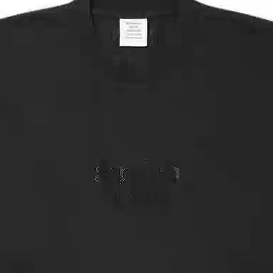 Balenciaga FW24 LogoT