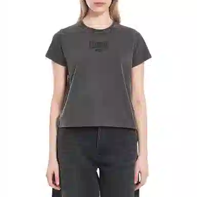 alexander wang Logo T