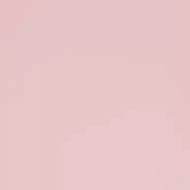 SKIMS NEW VINTAGE T-SHIRT T CHERRY BLOSSOM