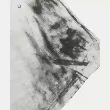 GRAILZ x KOIN SEOUL SS25