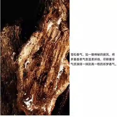 DIOR Bois Talisman EDP 50ml100ml200ml