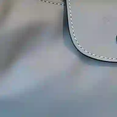 Longchamp Le Pliage Brown