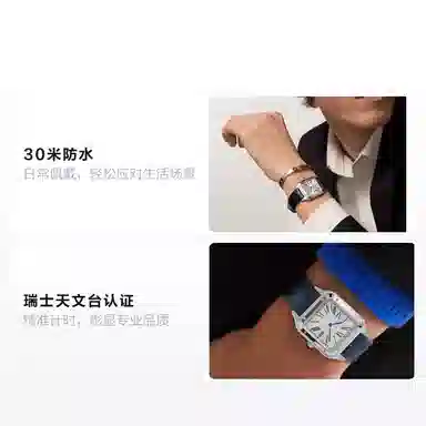 CARTIER 30 46.6mm 46.6*33.9mm WSSA0032