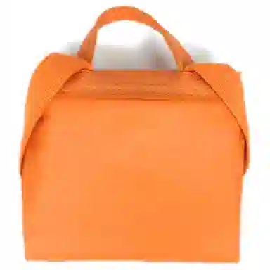 LONGCHAMP Le Pliage Green 26
