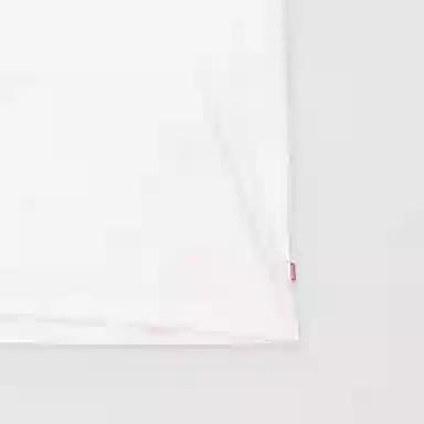 levis T