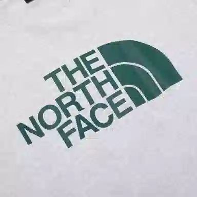 THE NORTH FACE Logo