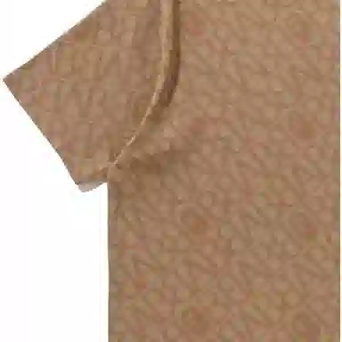 A BATHING APE FW23 T