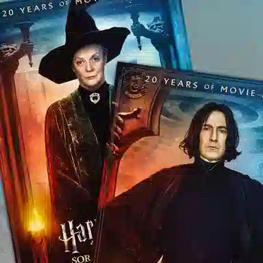 HARRY POTTER 730cmX43cm