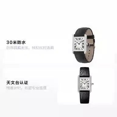 Cartier Tank W4TA0017