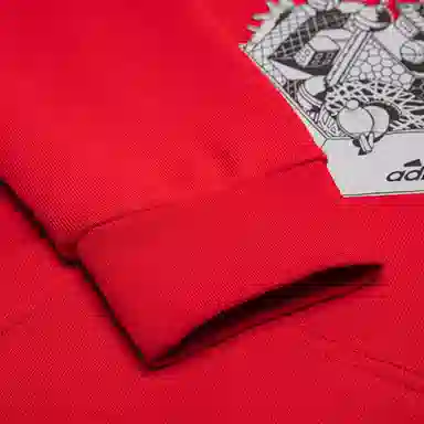 adidas Hoodie Red