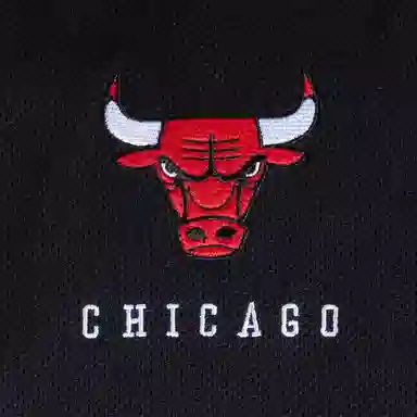 Mitchell Ness NBA T AU 97-98