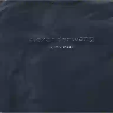 alexander wang FW24T