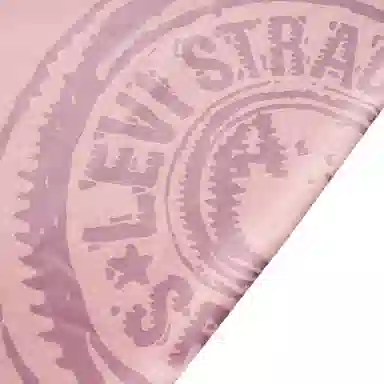 levis SS24 SS24 LOGO T