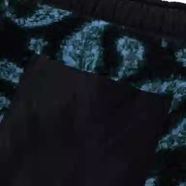 Lanvin SS22 Paisley Shorts