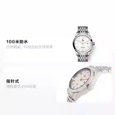 Tudor 1926 M91350-0011