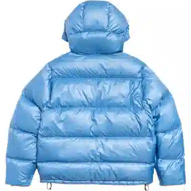 Stussy Micro Ripstop Down Parka