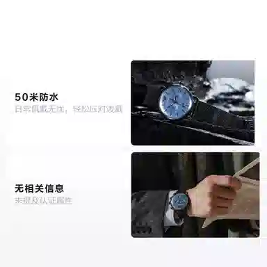 Emporio Armani AR11201