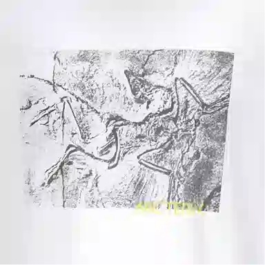 Arcteryx KRAGG SS25 COTTON LITHOGRAPHICA logoT