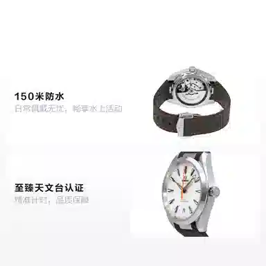 OMEGA 41mm 220.12.41.21.02.002