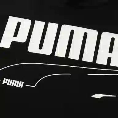 Puma Rebel Hoodie Tr Logo