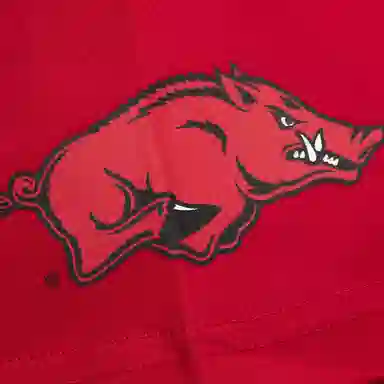Mitchell Ness x NCAA Arkansas Razorbacks Jacquard Ringer T
