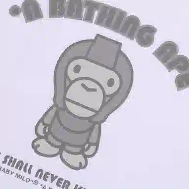 A BATHING APE FW25 T