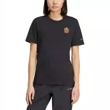 adidas Terrex POLYGIENE GRAPHIC T