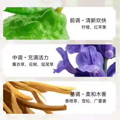 COACH EDT 40ml60ml100ml