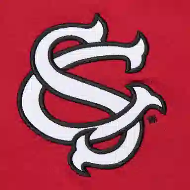 Mitchell Ness x NCAA South Carolina Gamecocks Jacquard Ringer T