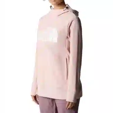THE NORTH FACE Tekno Pullover Hoodie