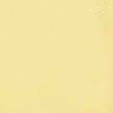 Polo Ralph LaurenPolo SS25