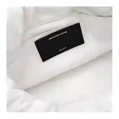 alexander wang ryan puff