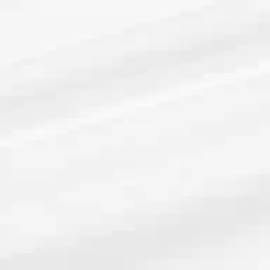 Puma x MICHAEL LAU T