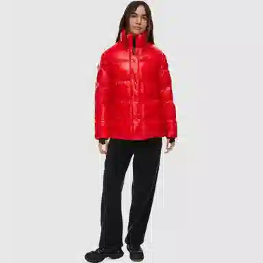 ARITZIA Super Puff Hi-Gloss Original 5